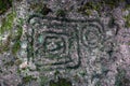 Ancient petroglyphs carved by the Carib tribes A